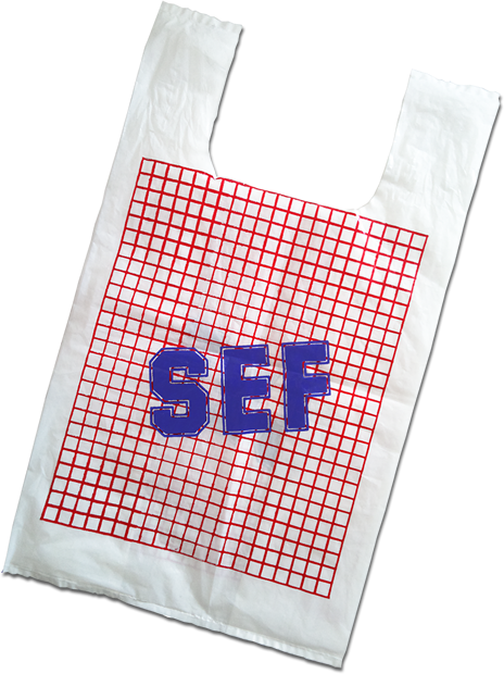 SEF Bag Old 1